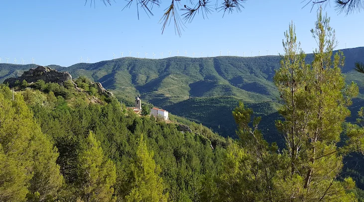 Torreta en Petilla de Aragón: Castillo